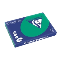 Clairefontaine gekleurd papier dennengroen 120 grams A3 (250 vel) 1384C 250142