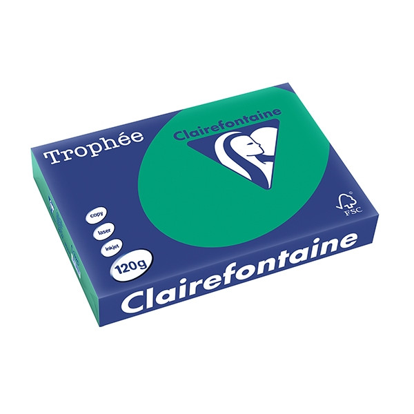 Clairefontaine gekleurd papier dennengroen 120 grams A4 (250 vel) 1224C 250086 - 1