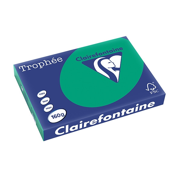 Clairefontaine gekleurd papier dennengroen 160 grams A3 (250 vel) 1046C 250160 - 1