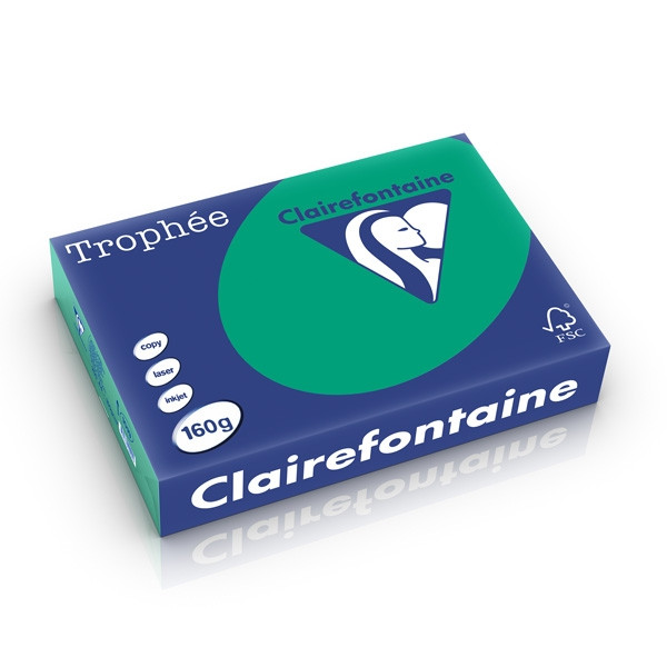Clairefontaine gekleurd papier dennengroen 160 grams A4 (250 vel) 1019C 250266 - 1