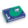 Clairefontaine gekleurd papier dennengroen 160 grams A4 (250 vel) 1019C 250266