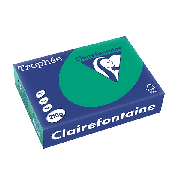 Clairefontaine gekleurd papier dennengroen 210 grams A4 (250 vel) 2213C 250105 - 1