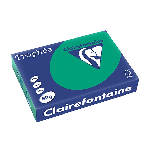 Clairefontaine gekleurd papier dennengroen 80 grams A4 (500 vel) 1783C 250062 - 1