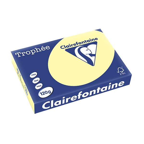 Clairefontaine gekleurd papier geel 120 grams A4 (250 vel) 1248C 250074 - 1
