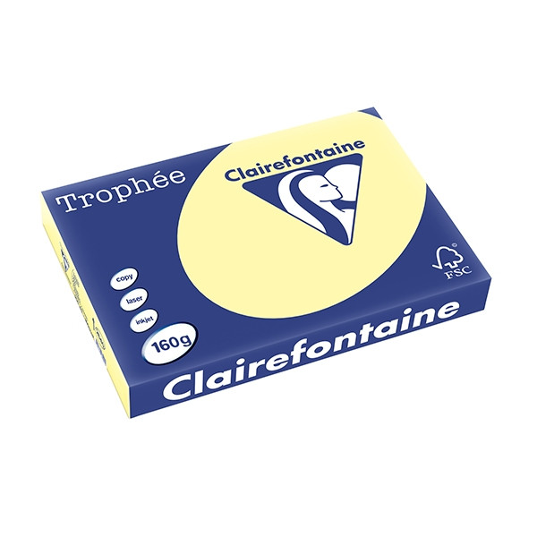 Clairefontaine gekleurd papier geel 160 grams A3 (250 vel) 2640C 250147 - 1