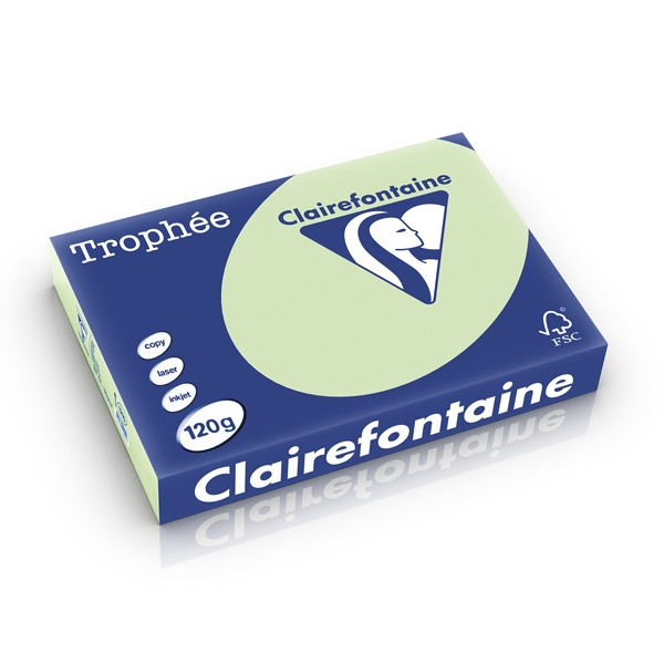 Clairefontaine gekleurd papier golfgroen 120 grams A4 (250 vel) 1215C 250207 - 1