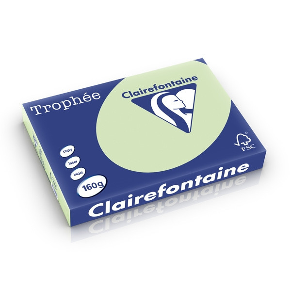 Clairefontaine gekleurd papier golfgroen 160 grams A3 (250 vel) 1114C 250280 - 1