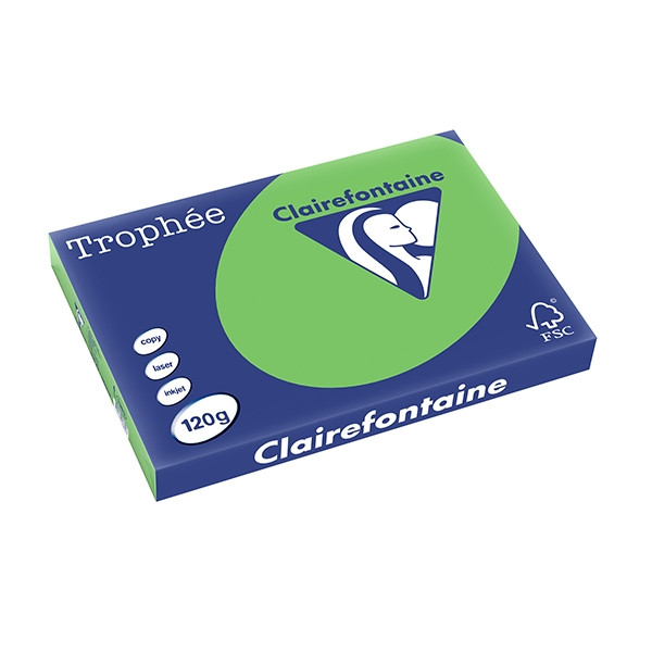 Clairefontaine gekleurd papier grasgroen 120 grams A3 (250 vel) 1383C 250141 - 1