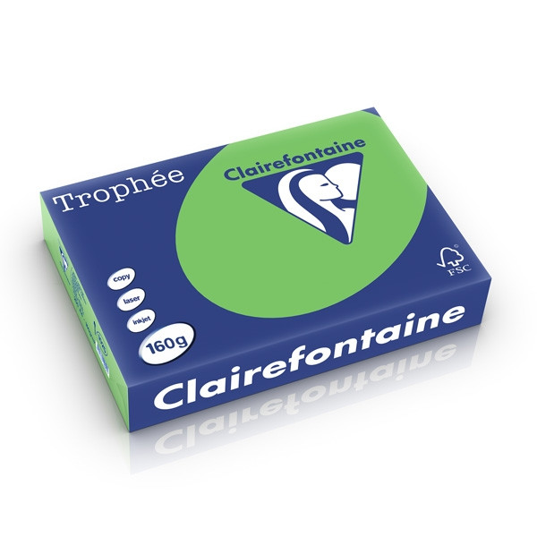 Clairefontaine gekleurd papier grasgroen 160 grams A4 (250 vel) 1025C 250264 - 