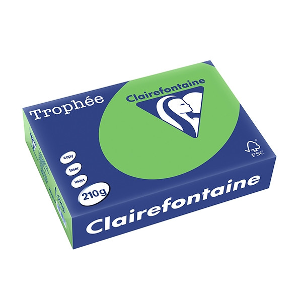 Clairefontaine gekleurd papier grasgroen 210 grams A4 (250 vel) 2208C 250103 - 1