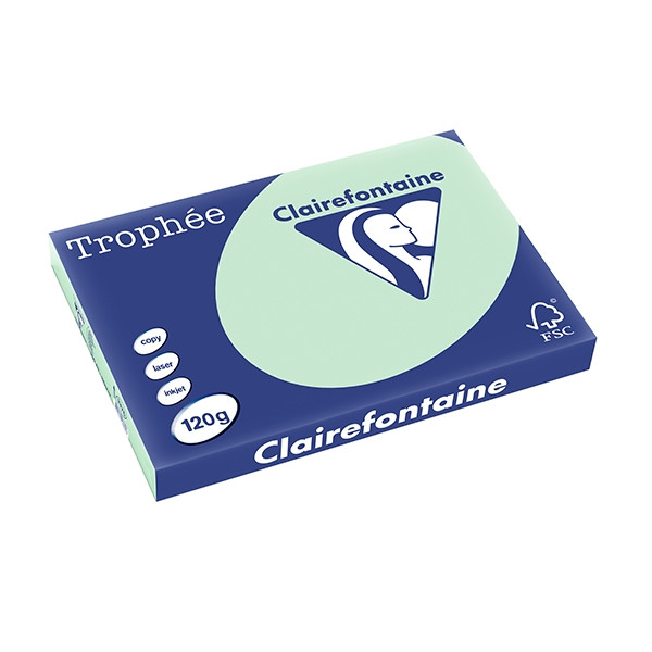 Clairefontaine gekleurd papier groen 120 grams A3 (250 vel) 1376C 250133 - 1