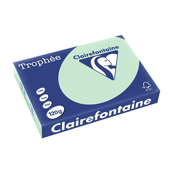 Clairefontaine gekleurd papier groen 120 grams A4 (250 vel) 1216C 250078 - 1