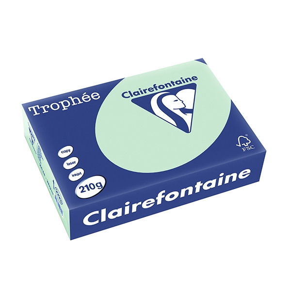 Clairefontaine gekleurd papier groen 210 grams A4 (250 vel) 2223C 250095 - 1