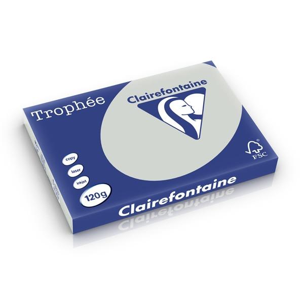 Clairefontaine gekleurd papier lichtgrijs 120 grams A3 (250 vel) 1274C 250213 - 1