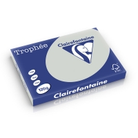 Clairefontaine gekleurd papier lichtgrijs 120 grams A3 (250 vel) 1274C 250213