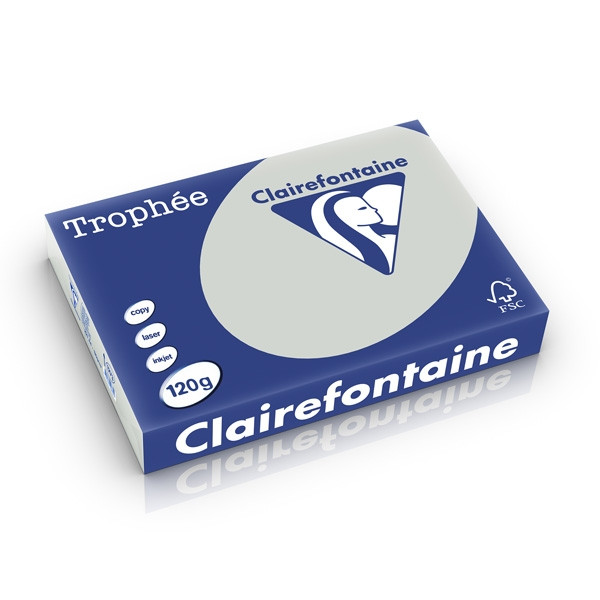 Clairefontaine gekleurd papier lichtgrijs 120 grams A4 (250 vel) 1273C 250195 - 1