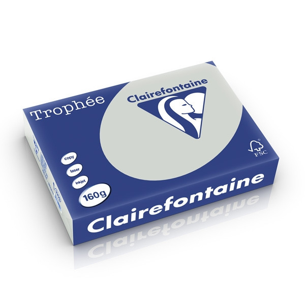 Clairefontaine gekleurd papier lichtgrijs 160 grams A4 (250 vel) 1009C 250232 - 1