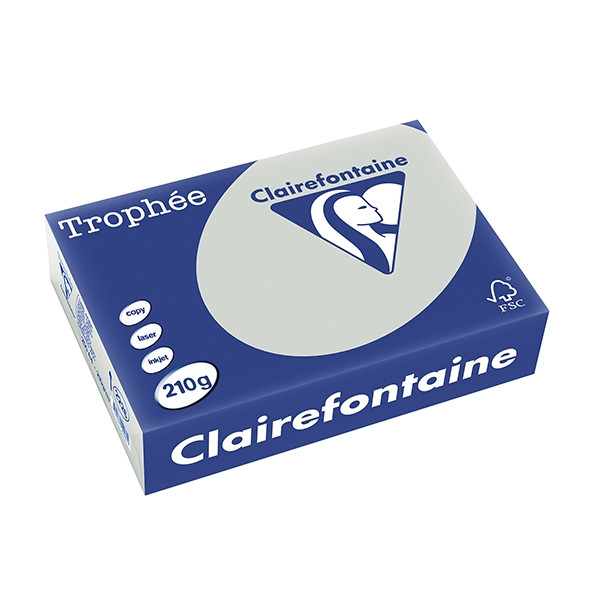 Clairefontaine gekleurd papier lichtgrijs 210 grams A4 (250 vel) 2226C 250088 - 1