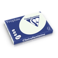 Clairefontaine gekleurd papier lichtgroen 120 grams A3 (250 vel) 1358C 250226