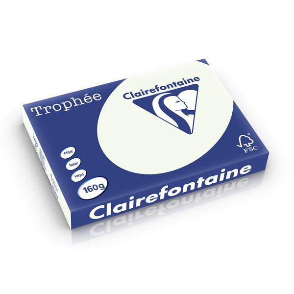 Clairefontaine gekleurd papier lichtgroen 160 grams A3 (250 vel) 1143C 250281 - 1