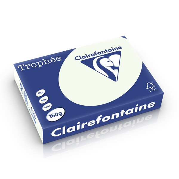 Clairefontaine gekleurd papier lichtgroen 160 grams A4 (250 vel) 1051C 250253 - 1