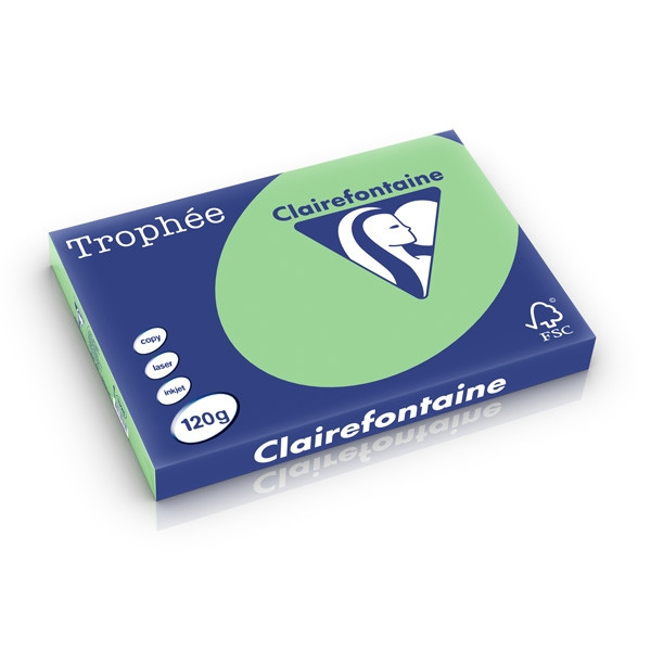 Clairefontaine gekleurd papier natuurgroen 120 grams A3 (250 vel) 1328C 250224 - 1