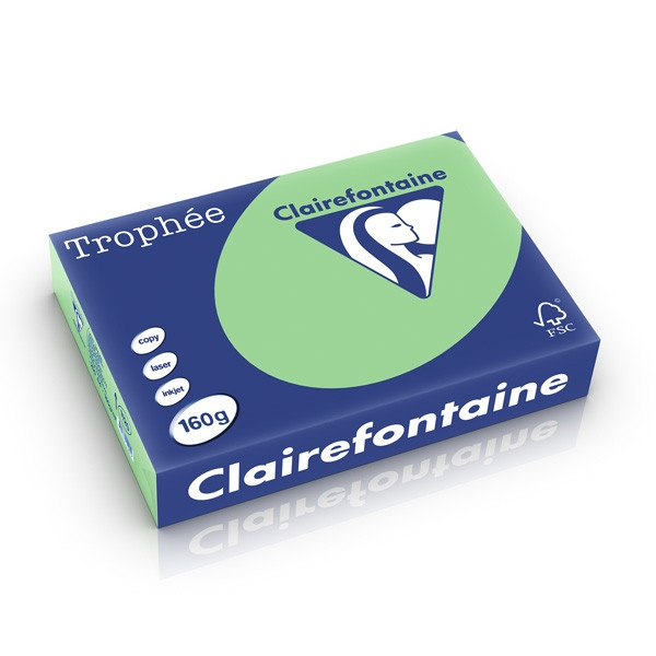 Clairefontaine gekleurd papier natuurgroen 160 grams A4 (250 vel) 1120C 250250 - 1
