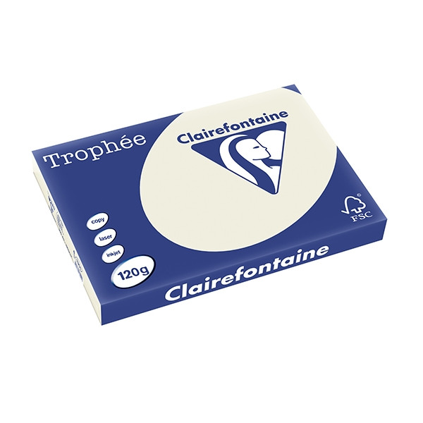 Clairefontaine gekleurd papier parelgrijs 120 grams A3 (250 vel) 1301C 250125 - 1