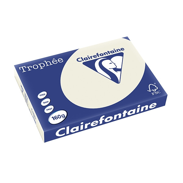 Clairefontaine gekleurd papier parelgrijs 160 grams A3 (250 vel) 1065C 250143 - 1