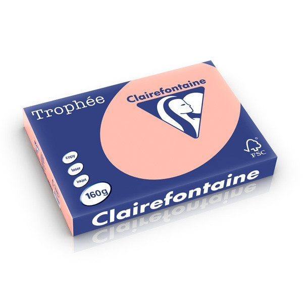 Clairefontaine gekleurd papier perzik 160 grams A3 (250 vel) 1141C 250271 - 1