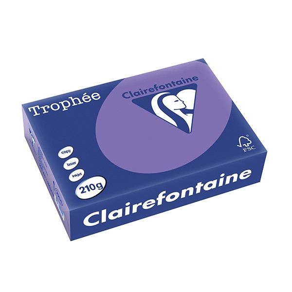 Clairefontaine gekleurd papier violet 210 grams A4 (250 vel) 2214C 250100 - 1