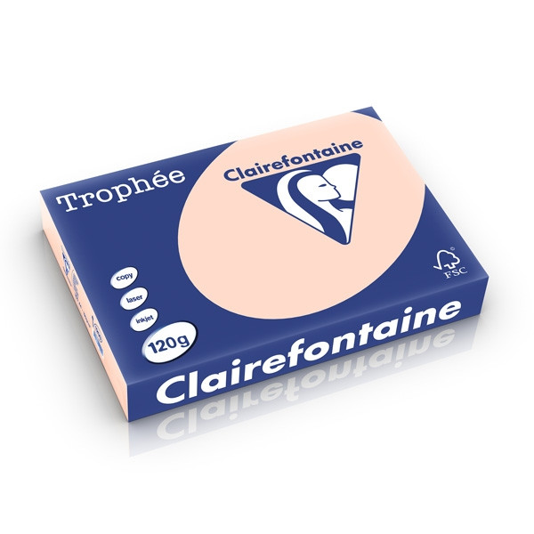 Clairefontaine gekleurd papier zalm 120 grams A4 (250 vel) 1209C 250201 - 1