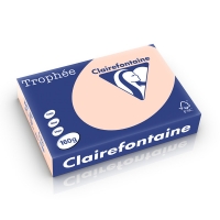 Clairefontaine gekleurd papier zalm 160 grams A4 (250 vel) 1104C 250242