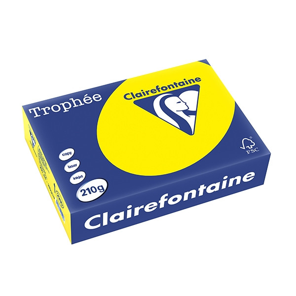 Clairefontaine gekleurd papier zonnegeel 210 grams A4 (250 vel) 2210C 250102 - 1