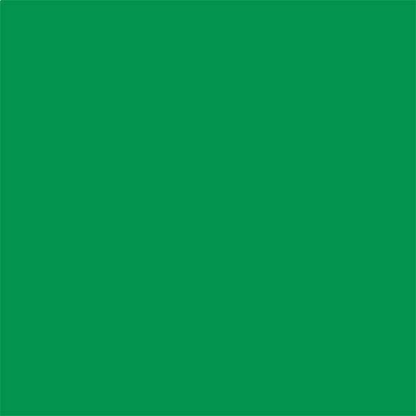 Cricut Smart transferfolie grasgroen 33 x 91 cm 448024 - 2