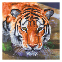 Crystal Art diamond painting kaart Tiger 18 x 18 cm CCK-A40 400930