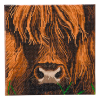 Crystal Art diamond painting kit Highland Cow 30 x 30 cm 400949 - 1