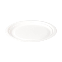 Depa wegwerpbord karton 18 cm (100 stuks) 423540