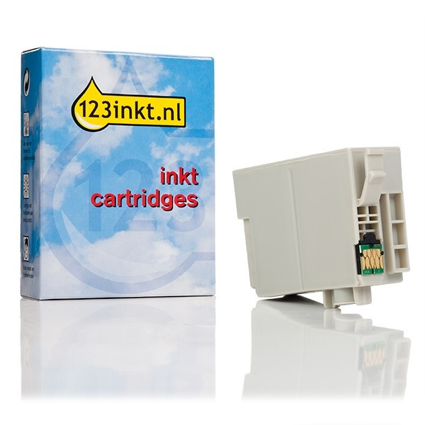 Epson 34XL (T3471) inktcartridge zwart hoge capaciteit (123inkt huismerk) C13T34714010C 027019 - 1