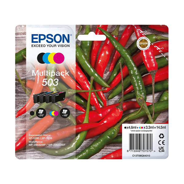 Epson 503 (T09Q6) multipack (origineel) C13T09Q64010 652048 - 1