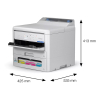Epson WorkForce Pro EP-C800RDW A4 inkjetprinter met wifi C11CK21401 831946 - 4