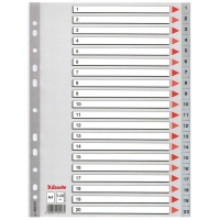 Esselte 100107 plastic tabbladen A4 grijs met 20 tabs (11-gaats) 100107 203816