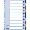 Esselte 15261 plastic tabbladen A4 gekleurd met 10 tabs (11-gaats) 15261 203802