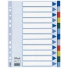 Esselte 15262 plastic tabbladen A4 gekleurd met 12 tabs (11-gaats)