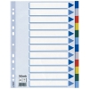 Esselte 15262 plastic tabbladen A4 gekleurd met 12 tabs (11-gaats) 15262 203804