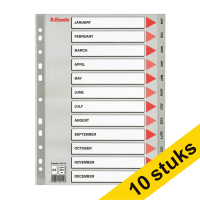 Aanbieding: 10x Esselte 100114 plastic tabbladen A4 grijs met jan-dec (11-gaats) 203825