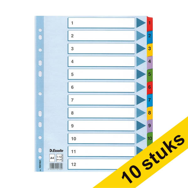Aanbieding: 10x Esselte 100162 kartonnen tabbladen A4 met 12 tabs (11-gaats) 203837 - 1