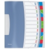 Esselte Vivida sorteermap transparant (12 tabs) 624030 203260