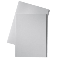 Esselte inlegmap van dossierkarton met 10 mm overslag folio grijs (100 stuks) 1032407 203666