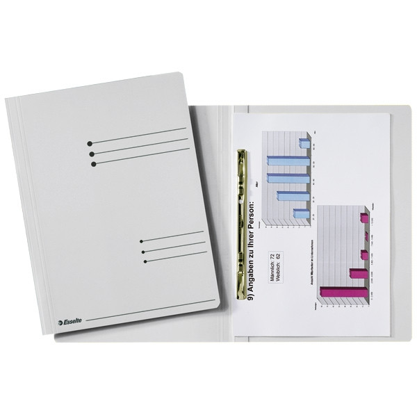 Esselte map met schuifdeklijst grijs A4 (50 stuks) 1033207 203680 - 